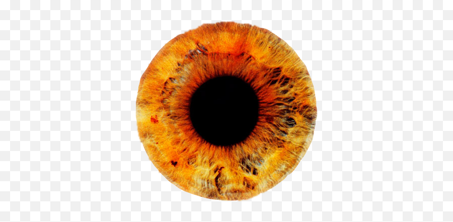 Yellow Red Orange Eye Lens Contactlens - Blue Eye Transparent Emoji,Eye Bursting Emoji