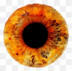 Yellow Red Orange Eye Lens Contactlens - Blue Eye Transparent Emoji,Eye Bursting Emoji