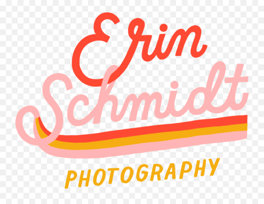 Detroit Wedding Photographer Erin Schmidt Photography - Language Emoji,Emotions Dance Academy By Erin