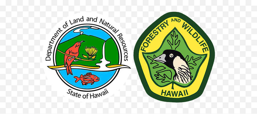 Division Of Forestry And Wildlife Wildlife Program - Dlnr Emoji,Low Lighting Emotions Site:.gov