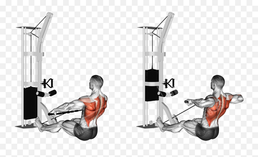 Mountain Back Workout - Cable Back Exercises Emoji,Gym Emotion Lever