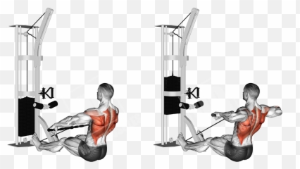 Mountain Back Workout - Cable Back Exercises Emoji,Gym Emotion Lever