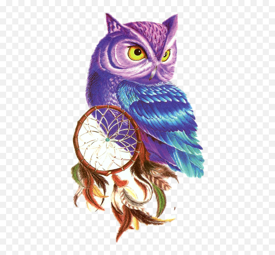 Sticker - Cool Colored Owl Drawings Emoji,Purple Horned Emoji
