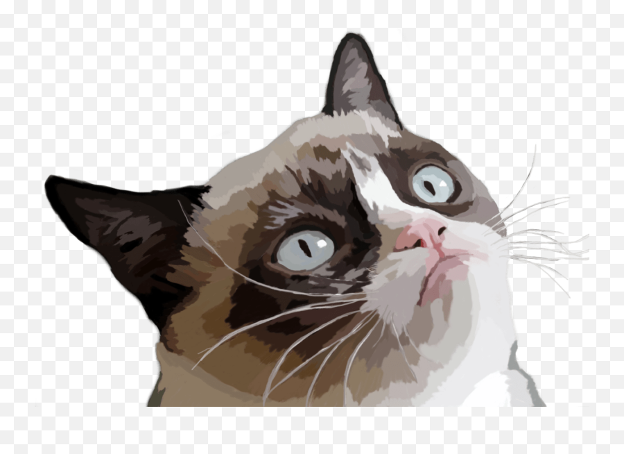 Grumpy Cat Vector Illustration Transparent Png - Stickpng Grumpy Cat Vector Png Emoji,Grumpy Emoji