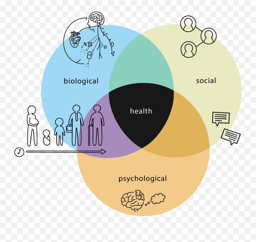 What Is Health Psychology Department Of Psychological - Health Psychology Emoji,Venn Diagram Comparing Emotions