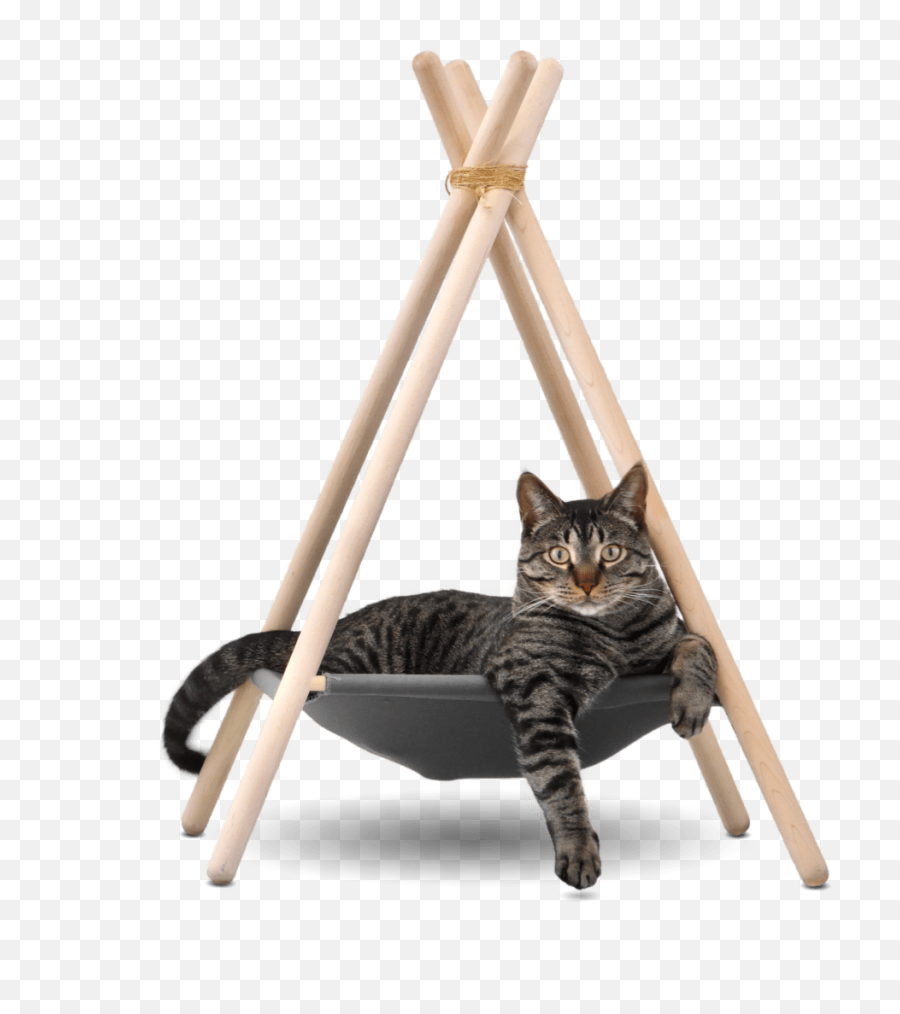 10 Cat Toys Ideas Cat Toys Cats Pets - Teepee Tent For Cats Emoji,Cats Emotion Pictures