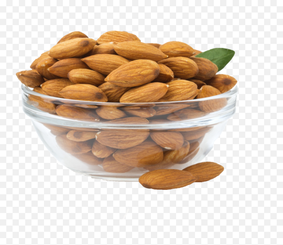 Most Viewed - Free Png Images Starpng Badam Png Emoji,Walnut Emoji