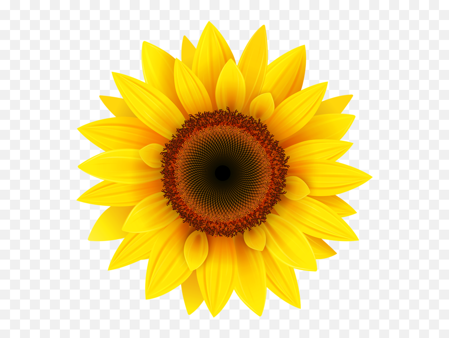 1005308 Emoji Clipart Sunflower - Sunflower Clipart Png,Sun Flower Emoji