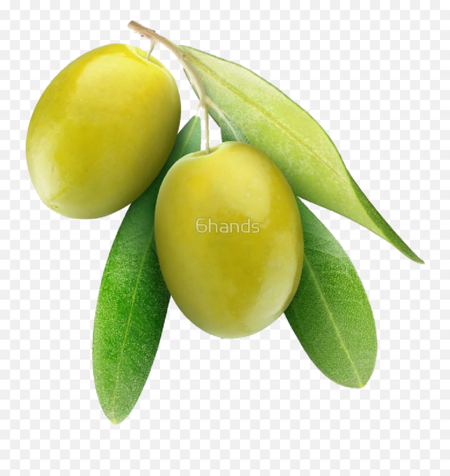 Popular And Trending - Olive Fruit Oil Emoji,Olive Emoji