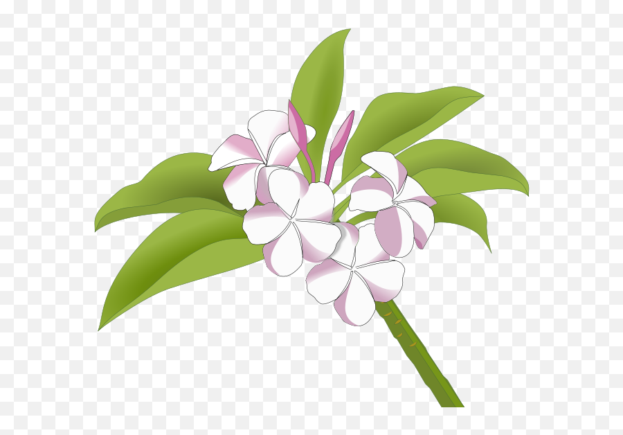 Artist - Openclipart Plumeria Free Clipart Emoji,Leering Emoticon