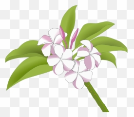 Artist - Openclipart Plumeria Free Clipart Emoji,Leering Emoticon