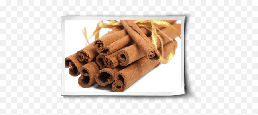 3 Healing Scents For The Holiday Season - True Cinnamon Tree Emoji,Essential Oils And Emotions Orangw