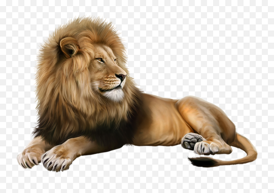 100 Free Lion - Feline U0026 Lion Illustrations Pixabay Lion Illustration Emoji,Lion King Emotions