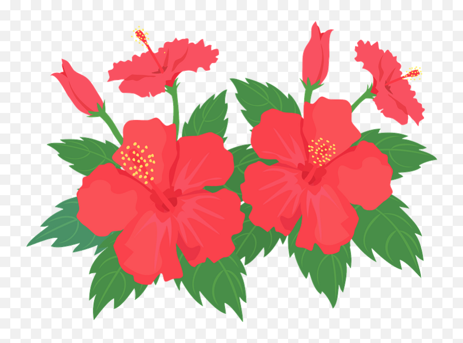 Hibiscus Flower Clipart - Shoeblackplant Emoji,Hibiscus Emoji