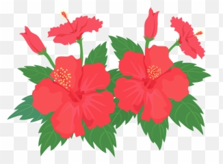 Hibiscus Flower Clipart - Shoeblackplant Emoji,Hibiscus Emoji
