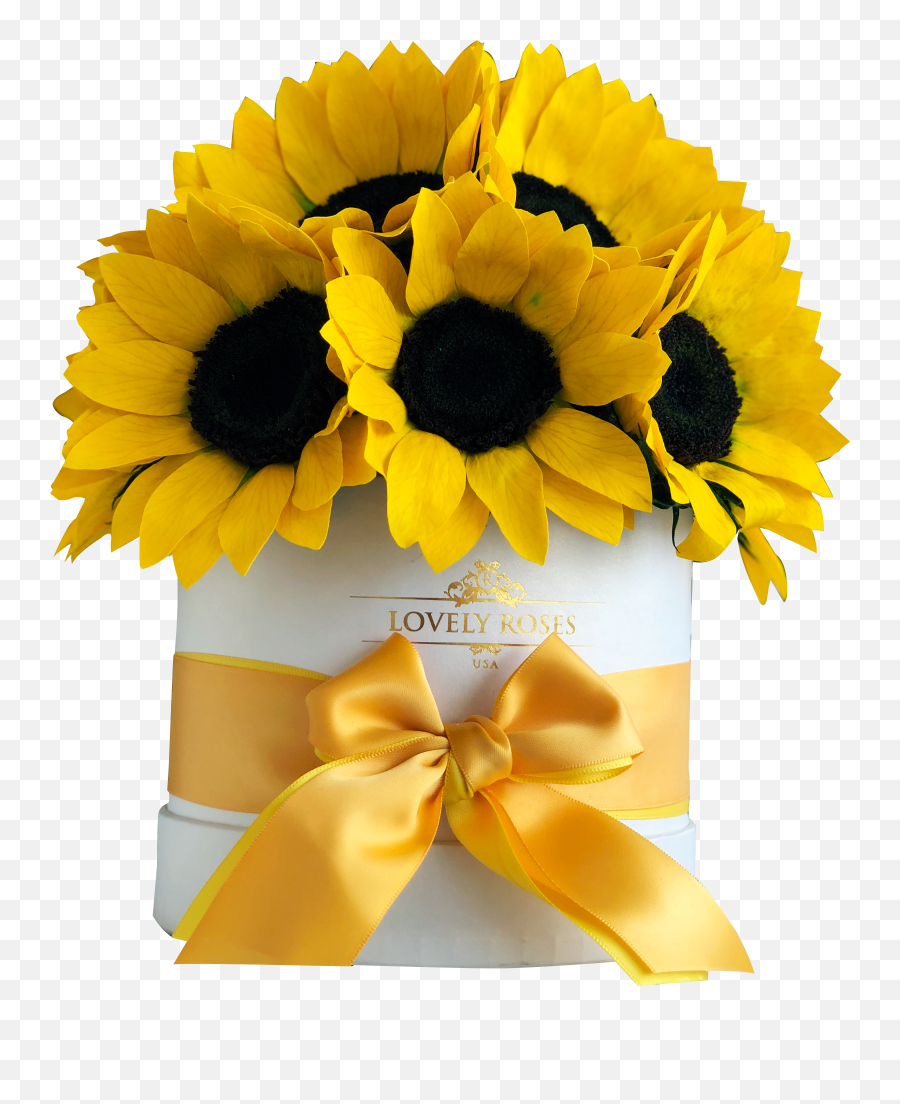 Deluxe Box Of Preserved Sunflowers Lovely Roses Emoji,Yellow Flowers Emotions