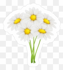 White Daisy Flower Bouquet Sticker Emoji,White Daisy Emoji
