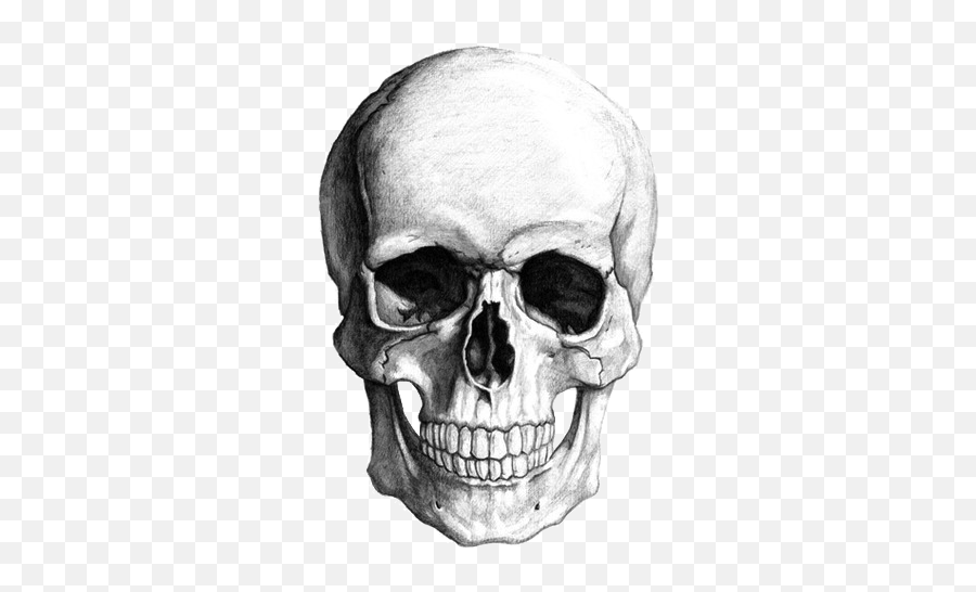 Shrug Emoji Old Man Pnglib U2013 Free Png Library - Skull Face Drawing,Black Male Shrug Emoji