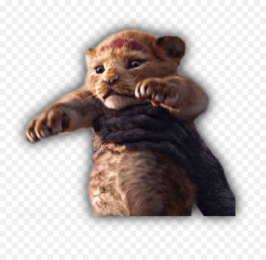 Sticker - Roi Lion En Film 2019 Emoji,Lion King Emoji Plush