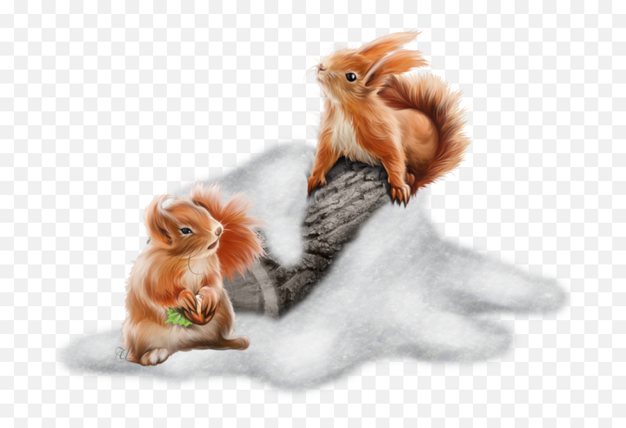 Squirrel Squirrels Fantasyart Sticker - Tube Png Animaux Hiver Emoji,Red Squirrel Emoji