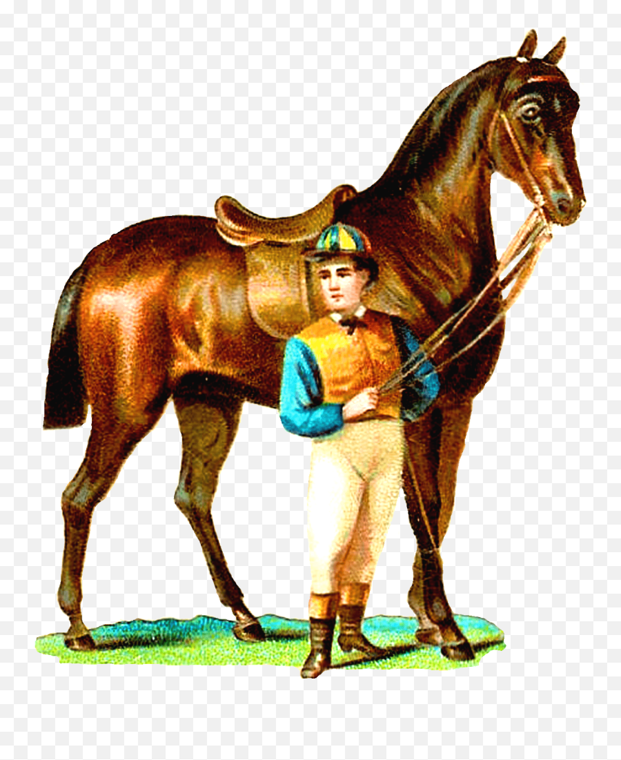 Horse Png - Clip Art Library Man In A Horse Png Emoji,Racehorse Emoji