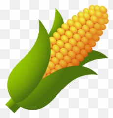 Ear Of Corn - Png Corn On The Cob Emoji,Ear Emoji