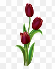 Flower Wallpaper Flower Painting Tulips Art - Tulip Flower Painting Emoji,Emojis Columbine