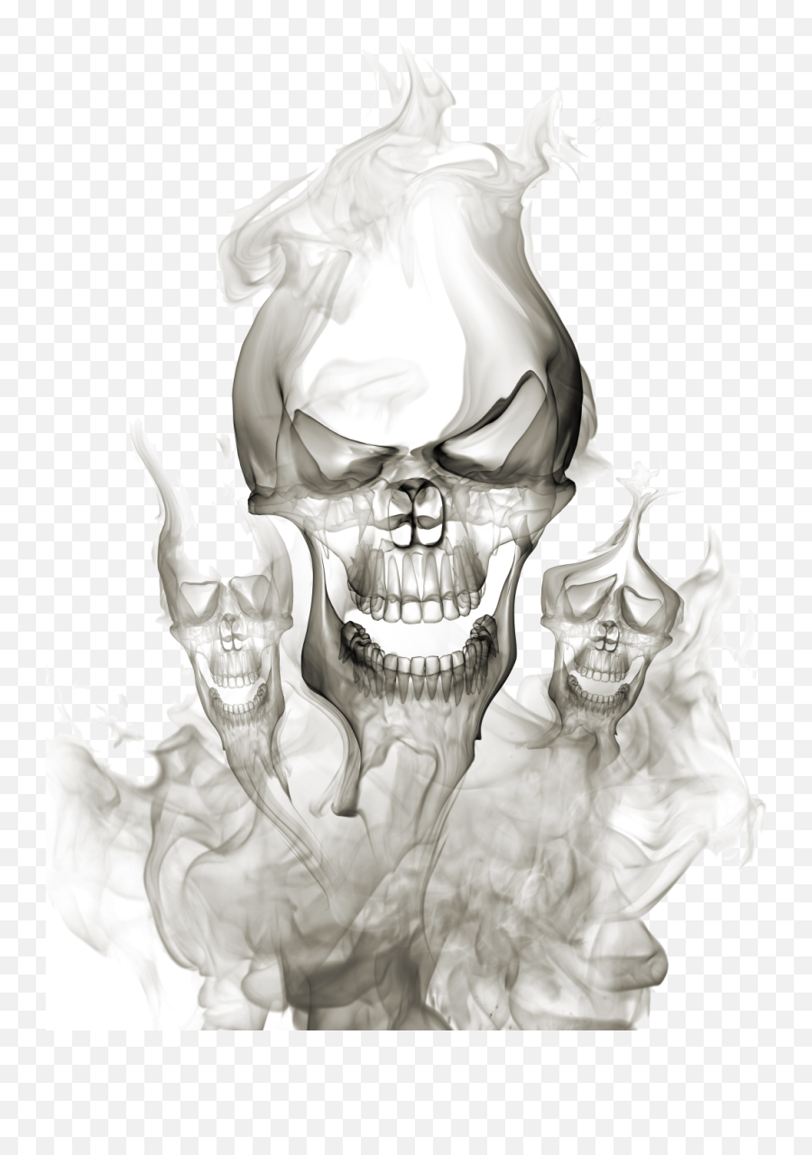 Mq Dead Heads Skull Skulls Grey Sticker By Marras - Transparent Smoke Skull Png Emoji,Dead Skull Emoji