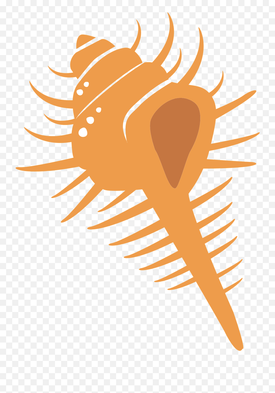 Venus Comb Murex Clipart - Art Emoji,Comb Emoji
