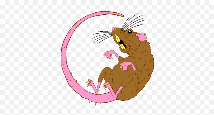 Rat Rat Race Sticker - Animal Figure Emoji,Remy The Rat What Emotion