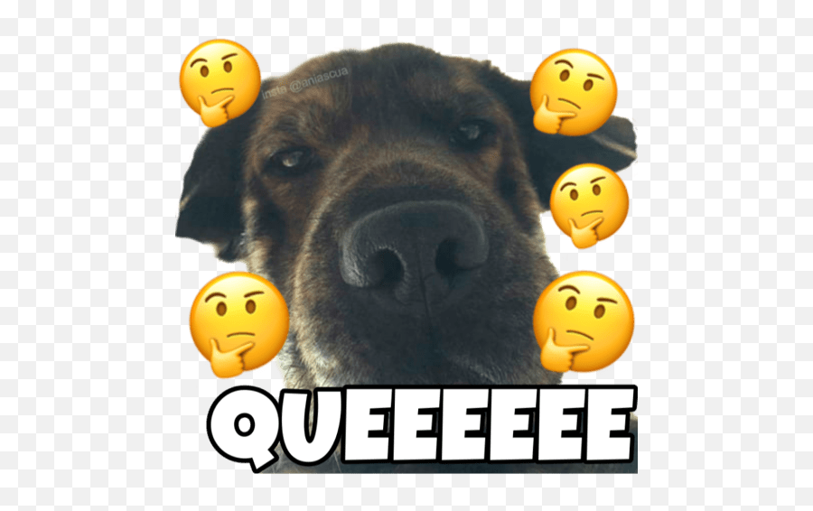 Perrito Cute Emoji,Emoticon Feliz Cumpleaños