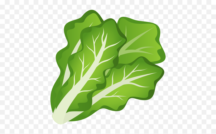 Emoji Salad Lettuce Green Leafy Vegetables Wprock - Lettuce Emoji Png,Leaf Emoji