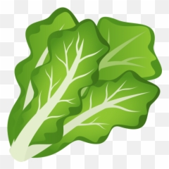 Emoji Salad Lettuce Green Leafy Vegetables Wprock - Lettuce Emoji Png,Leaf Emoji