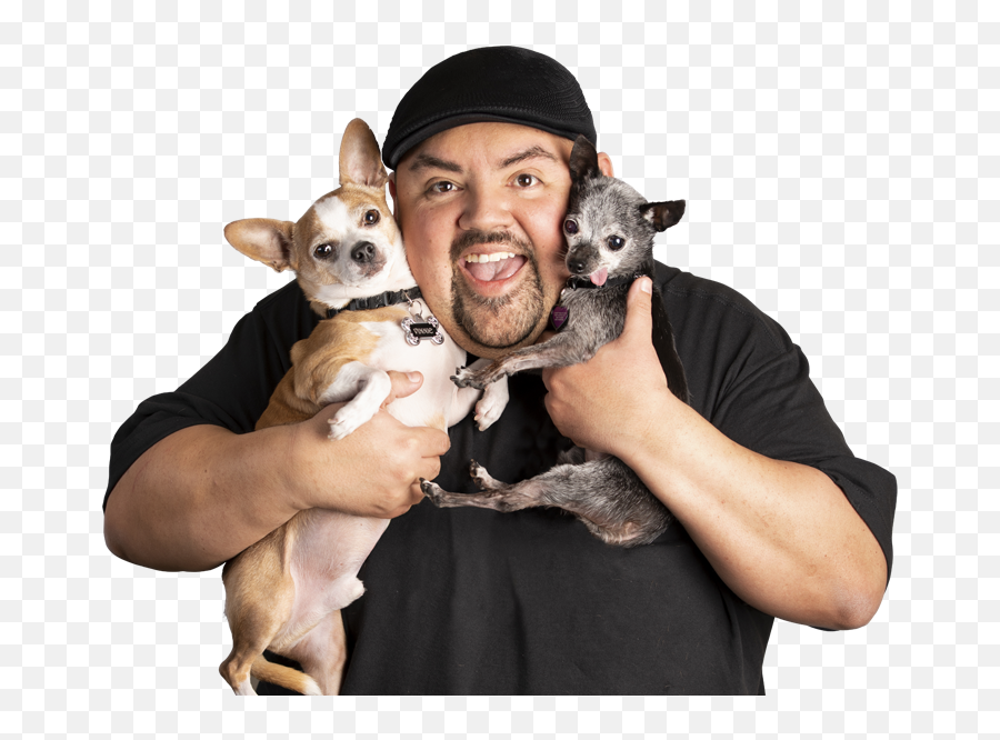 About - Fluffyguycom Emoji,Dyrus Strream Emoticons