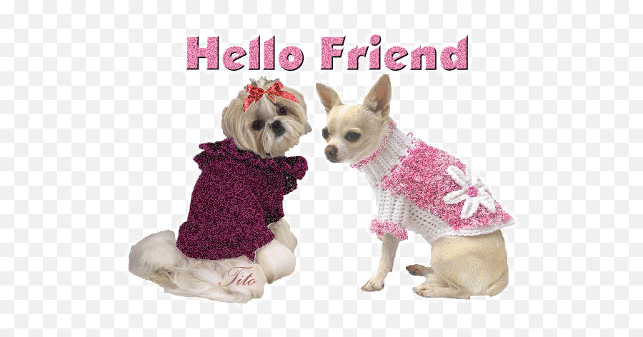 Animali Glitter - Dog Clothes Emoji,Chihuahua Emoticons