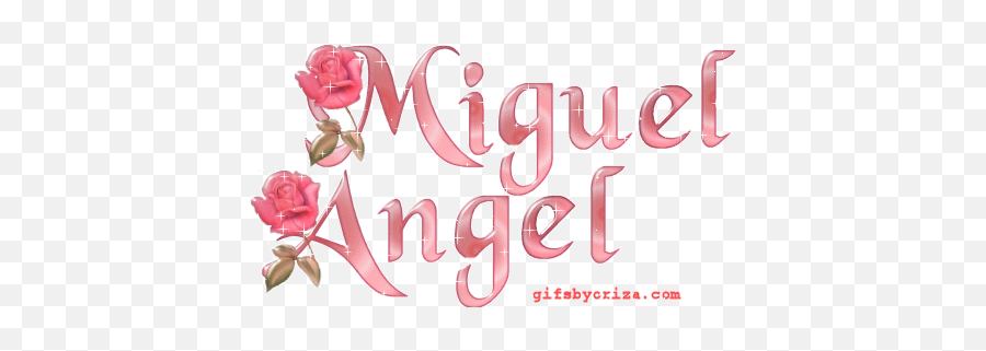 Names - M 3 Animated Gifs For Friendship Slideshow Felicidades Miguel Angel Gif Emoji,Fathers Day Gif Emotions
