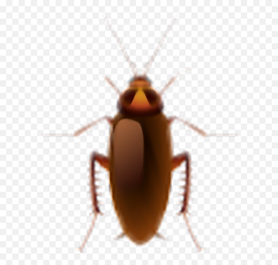Cockroach Sticker - Cockroaches Art Emoji,Cockroach Emoji