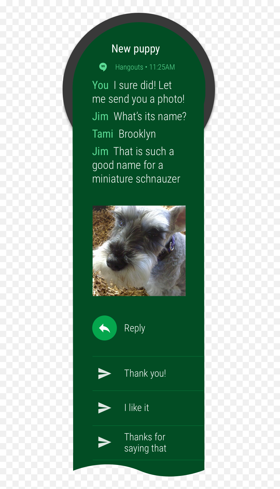 Create A Notification - Photo Caption Emoji,Schnauzer Emoji