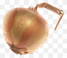 Single Onion Png Transparent Image Emoji,Emojis Cebolla