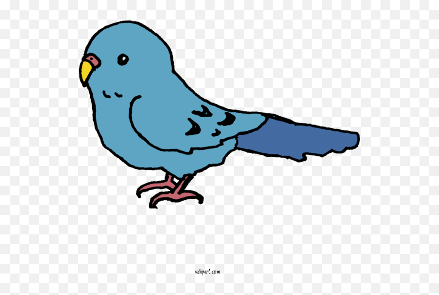 Animals Birds Budgerigar Beak For Emoji,Cockatoo Facebook Emoji