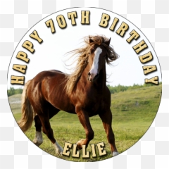 Personalised Edible Cake Toppers And - Edible Horse Cake Toppers Emoji,Emoji Horse And Plane