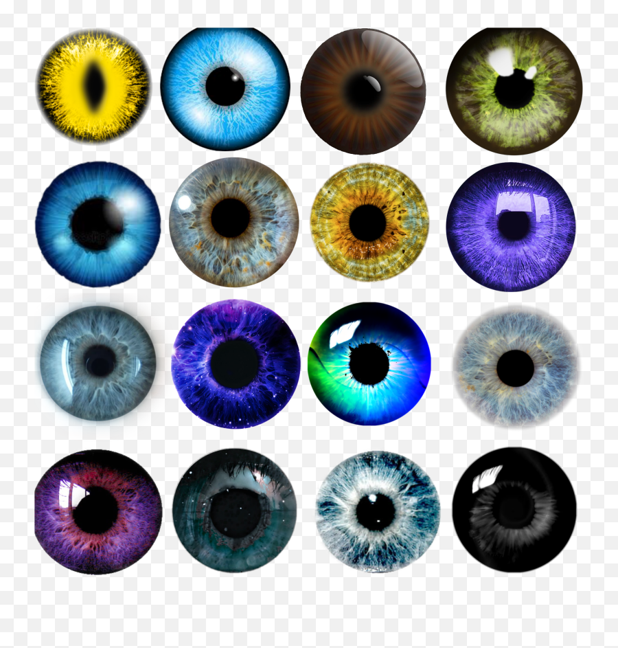 Eye Eyes Eyeball Eyeballs Sticker By Jaime - Eye Emoji,Eyeballs Emoji