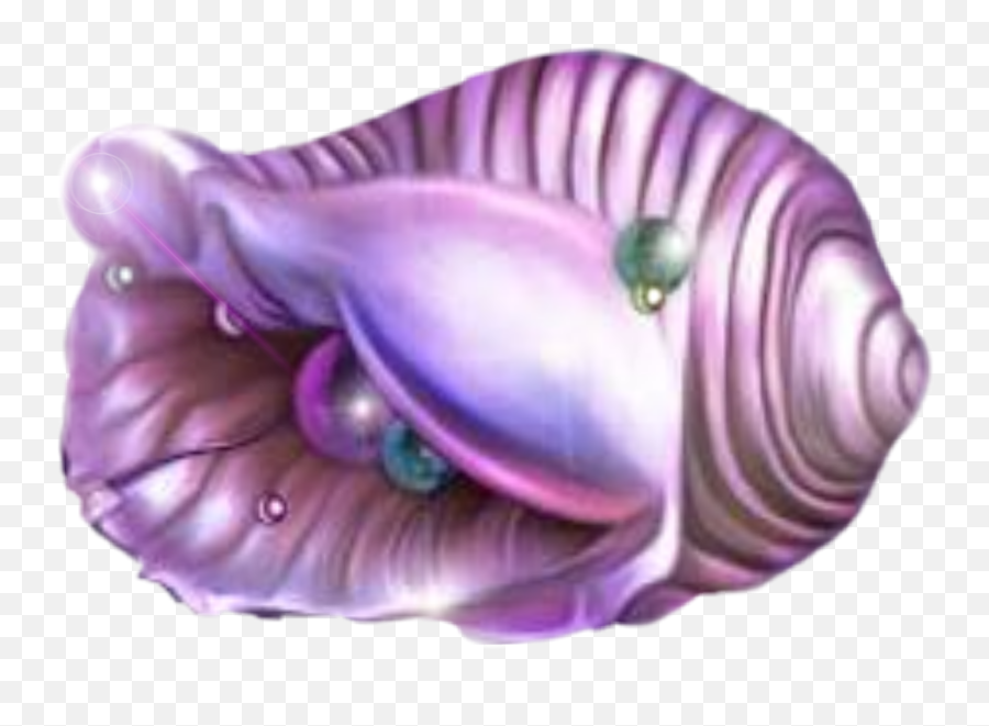 Shellseashellpinkshellpearl Sticker - Sea Snail Emoji,Conch Shell Emoji