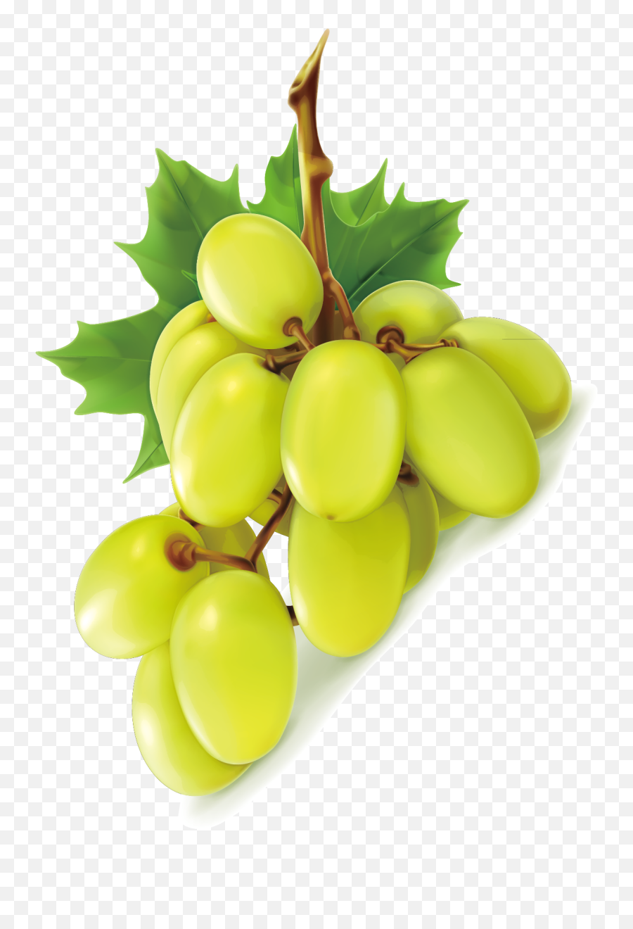 Green Grapes - Grape Emoji,Green Grape Emoji