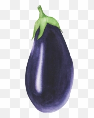 Eggplant Sticker By Elizabeth - Fitness Nutrition Emoji,Egplant Emoji