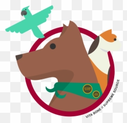 Take The Quiz - Terapia Asistida Con Animales Logo Emoji,Dog Emotion Committed To Human Pig