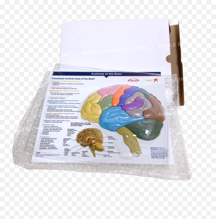 Sample Sale 3d Human Brain Puzzle For Educational Toy And - Photographic Paper Emoji,Emotions And Psychomotor