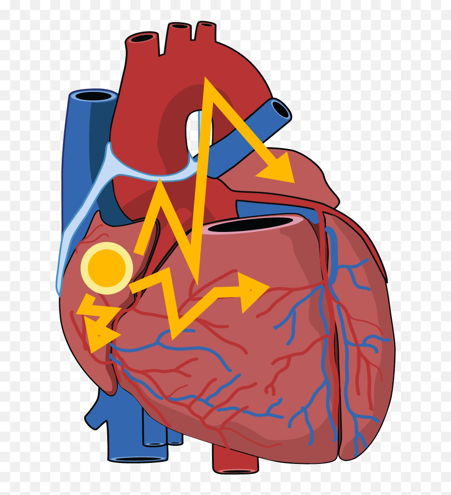 Openmodelica - Revision 26089 Trunktestsuiteflattening Emoji,Golem Emoji