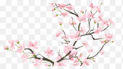 Truth And A Lie On Tumblr - Sakura Branch Drawing Transparent Emoji,Griffin Mcelroy Discord Emojis