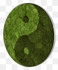 Moss Walls - Dot Emoji,Country Corner Decoration And Emotions